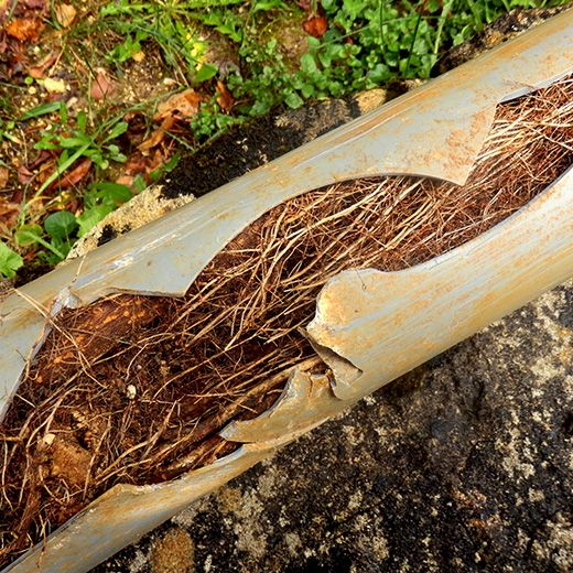 Same Day Drain Sewer & Rooter Pros Across Bartlett